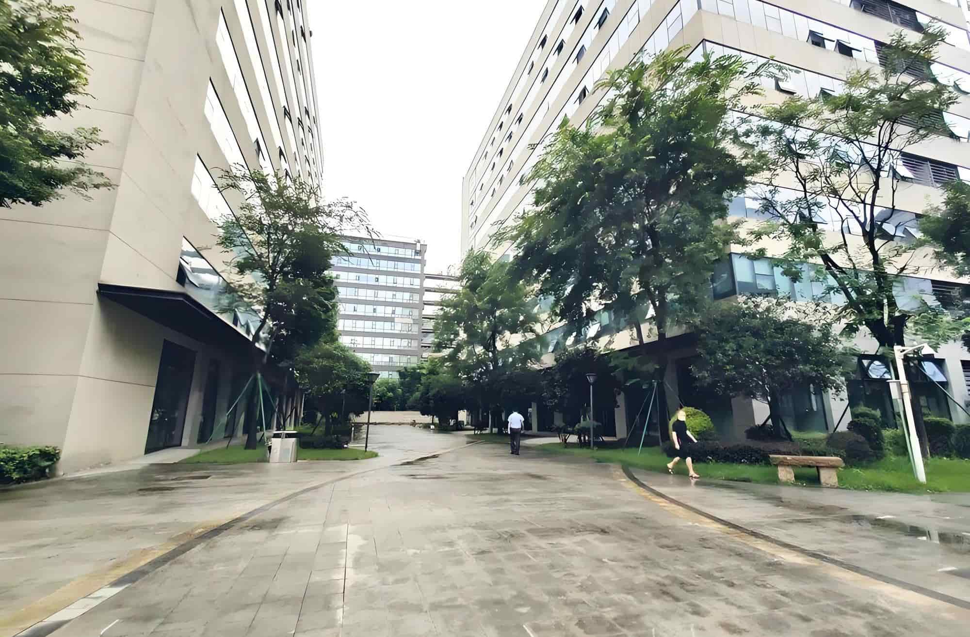 公共区域